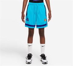 Nike Fly x Space Jam: A New Legacy Crossover Kadın Basketbol Şort DJ3902-434